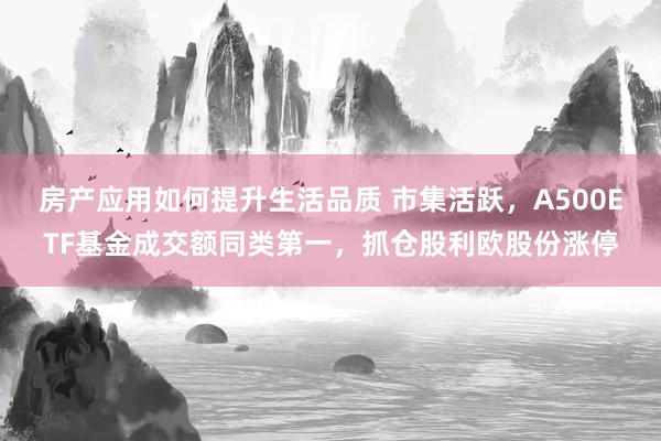 房产应用如何提升生活品质 市集活跃，A500ETF基金成交额同类第一，抓仓股利欧股份涨停