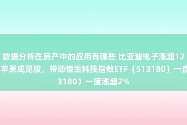 数据分析在房产中的应用有哪些 比亚迪电子涨超12%，领涨苹果成见股，带动恒生科技指数ETF（513180）一度涨超2%