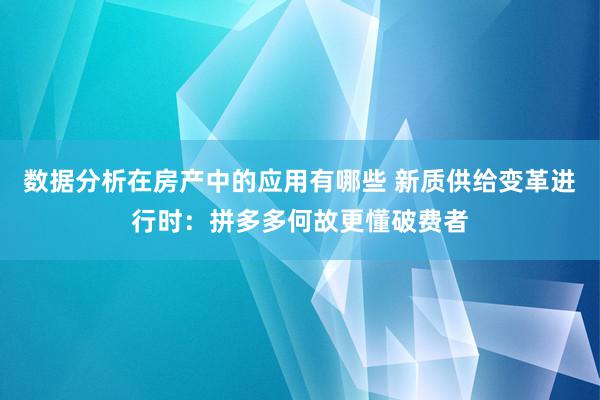 数据分析在房产中的应用有哪些 新质供给变革进行时：拼多多何故更懂破费者