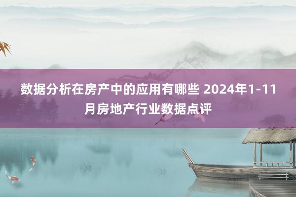 数据分析在房产中的应用有哪些 2024年1-11月房地产行业数据点评