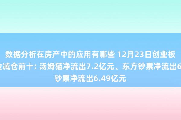 数据分析在房产中的应用有哪些 12月23日创业板主力资金减仓前十: 汤姆猫净流出7.2亿元、东方钞票净流出6.49亿元