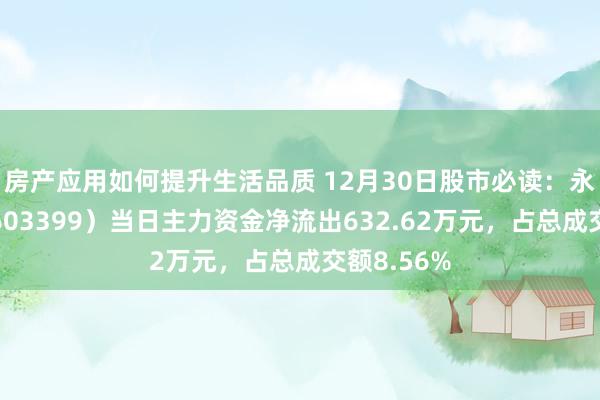 房产应用如何提升生活品质 12月30日股市必读：永杉锂业（603399）当日主力资金净流出632.62万元，占总成交额8.56%