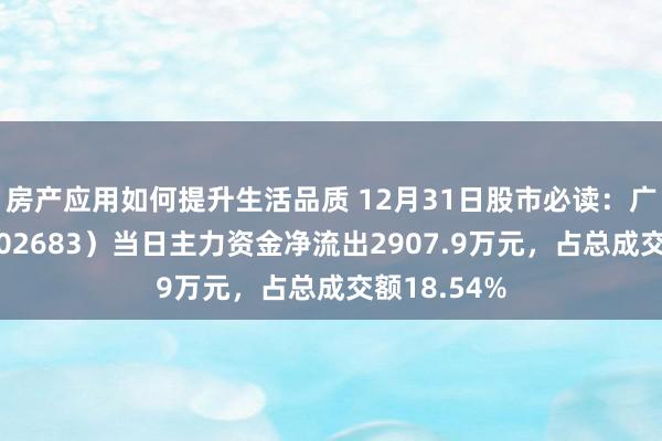 房产应用如何提升生活品质 12月31日股市必读：广东浩瀚（002683）当日主力资金净流出2907.9万元，占总成交额18.54%