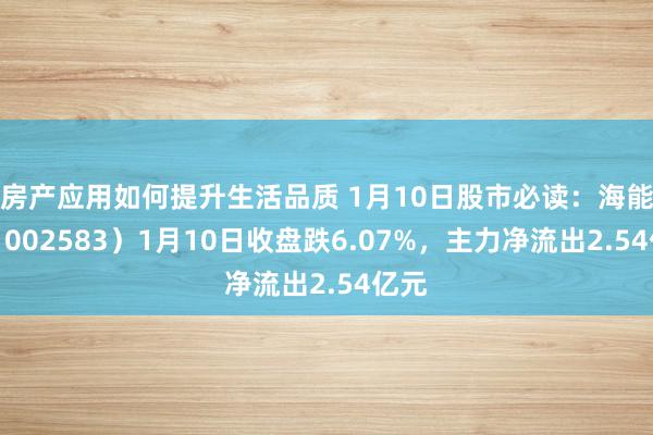 房产应用如何提升生活品质 1月10日股市必读：海能达（002583）1月10日收盘跌6.07%，主力净流出2.54亿