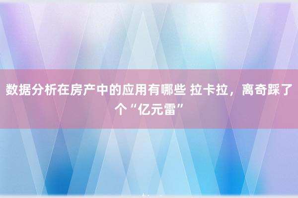 数据分析在房产中的应用有哪些 拉卡拉，离奇踩了个“亿元雷”