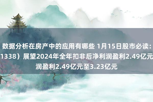 数据分析在房产中的应用有哪些 1月15日股市必读：永顺泰（001338）展望2024年全年扣非后净利润盈利2.49亿