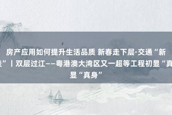 房产应用如何提升生活品质 新春走下层·交通“新通谈”丨双层过江——粤港澳大湾区又一超等工程初显“真身”