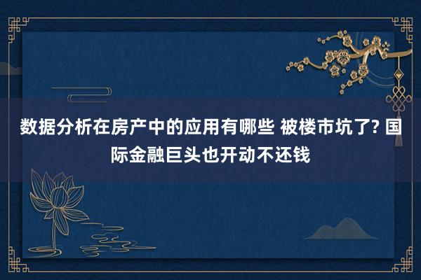 数据分析在房产中的应用有哪些 被楼市坑了? 国际金融巨头也开动不还钱