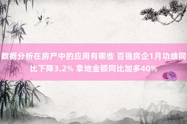 数据分析在房产中的应用有哪些 百强房企1月功绩同比下降3.2% 拿地金额同比加多40%