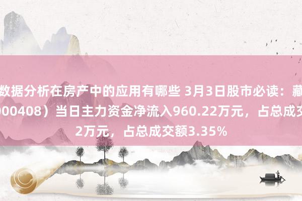 数据分析在房产中的应用有哪些 3月3日股市必读：藏格矿业（000408）当日主力资金净流入960.22万元，占总成交额3.35%