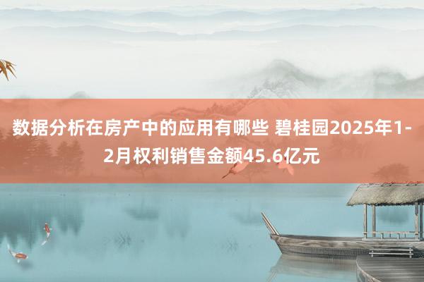 数据分析在房产中的应用有哪些 碧桂园2025年1-2月权利销售金额45.6亿元