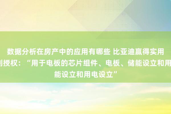 数据分析在房产中的应用有哪些 比亚迪赢得实用新式专利授权：“用于电板的芯片组件、电板、储能设立和用电设立”