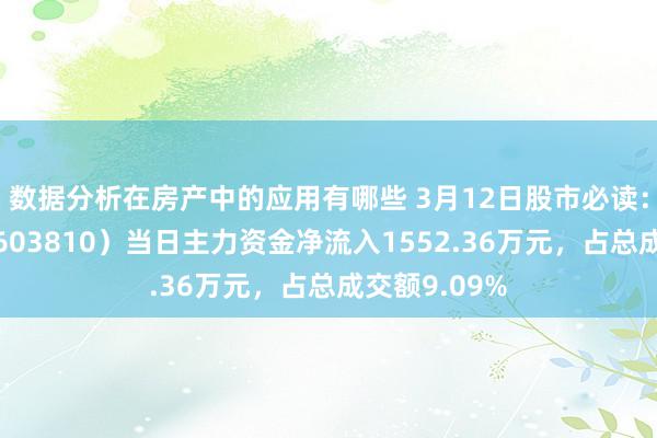 数据分析在房产中的应用有哪些 3月12日股市必读：丰山集团（603810）当日主力资金净流入1552.36万元，占总成交额9.09%