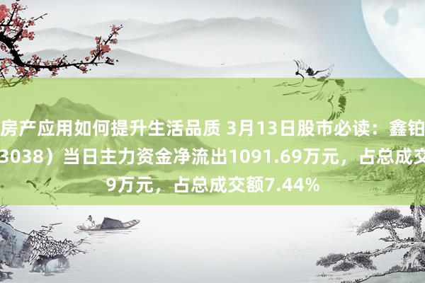 房产应用如何提升生活品质 3月13日股市必读：鑫铂股份（003038）当日主力资金净流出1091.69万元，占总成交额7.44%