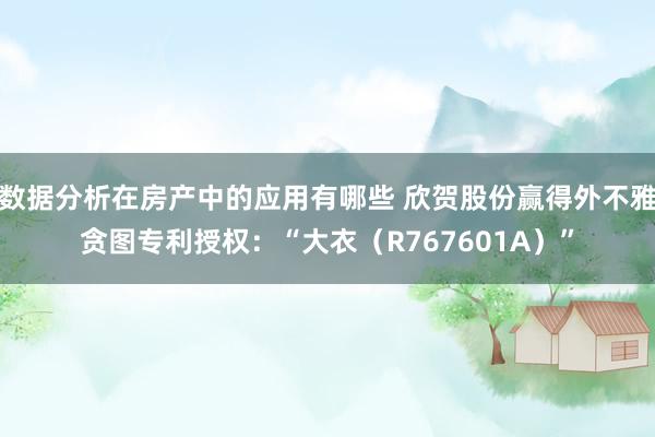 数据分析在房产中的应用有哪些 欣贺股份赢得外不雅贪图专利授权：“大衣（R767601A）”