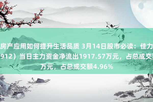 房产应用如何提升生活品质 3月14日股市必读：佳力求（603912）当日主力资金净流出1917.57万元，占总成交额4.96%