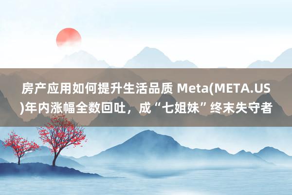 房产应用如何提升生活品质 Meta(META.US)年内涨幅全数回吐，成“七姐妹”终末失守者